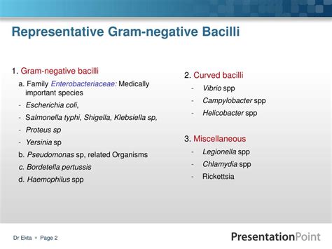 Ppt Medically Important Gram Negative Bacilli Part 2 Powerpoint