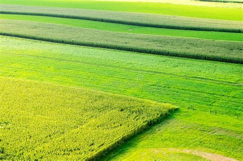 Lush Green Fields Aerial View Stock Image Image Of Farmland Trees