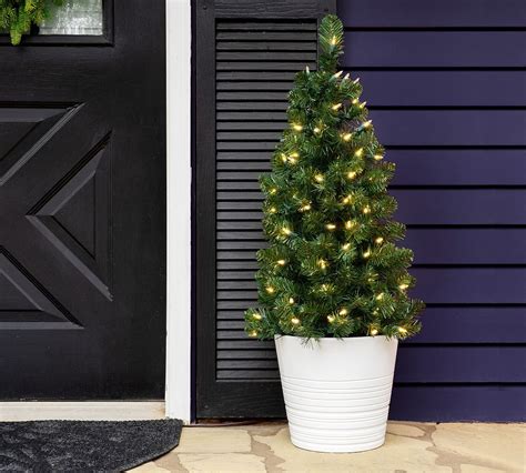 Outdoor Lit Warm Led Faux Winchester Fir Walkway Trees Set Of 2