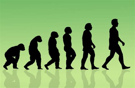 Humans Are Still Evolving—and It May Be Happening Faster Than Ever