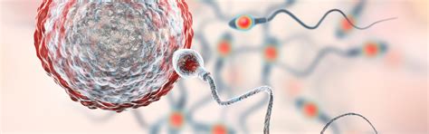 The most common method is called. IUI Cost: How Much Does An Artificial Insemination Really ...