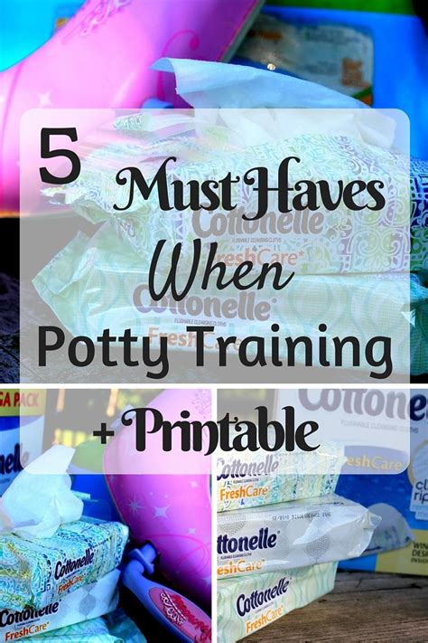 5 Must Haves When Potty Training Potty Training Potty Train