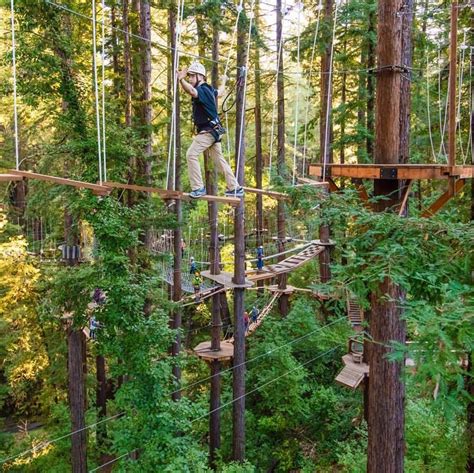 Take A Walk Above The Trees At Mount Hermon In Northern California Tree Canopy Northern