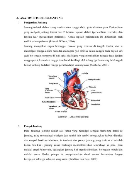anatomi fisiologi jantung - wood scribd indo