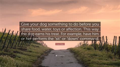 Cesar Millan Quote “give Your Dog Something To Do Before You Share
