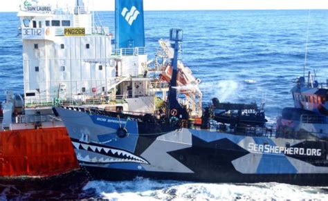 Japan Whaling Ships To Set Sail For Antarctic On December 1 Vesselfinder