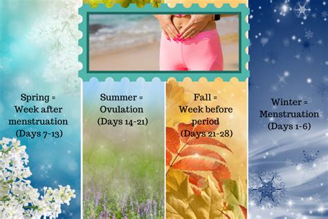 Monthly Seasons Of Our Menstrual Cycles Moore Life Chiropractic