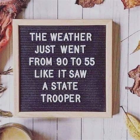 Fall Message Aboard Quote Just Go Funny Weather Weather Memes