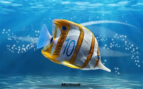 Download Wallpapers Underwater Windows 10 Fish Creative Microsoft