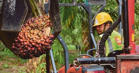 Maybe you would like to learn more about one of these? Sime Darby Plantation streamlines minimum wages across ...