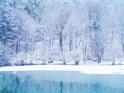 Best 52 Winter Backgrounds On Hipwallpaper Cute Winter Wallpaper Winter Wallpaper And