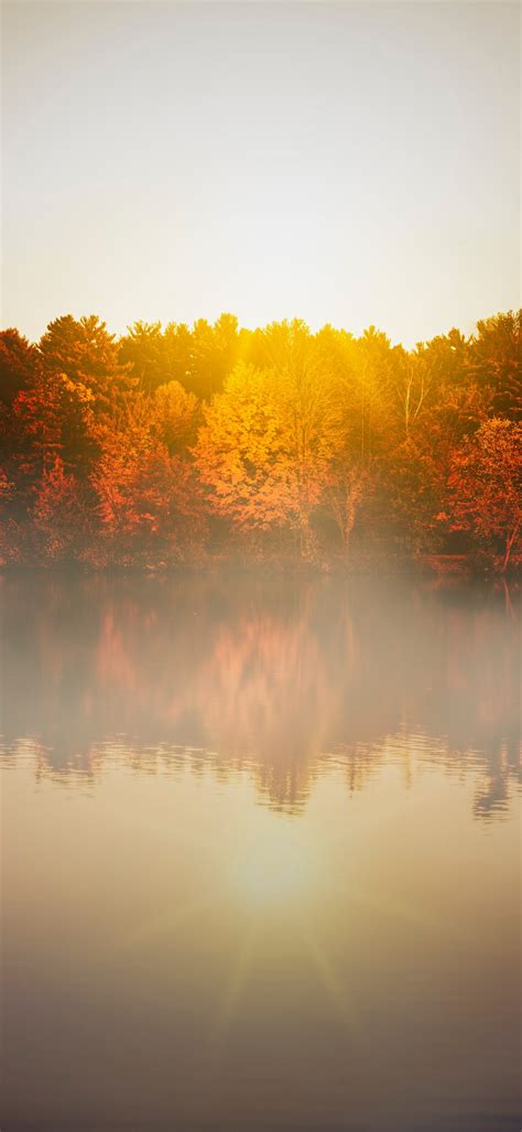 Autumn Trees Wallpaper 4k Body Of Water Sunflare Sunrise Reflection