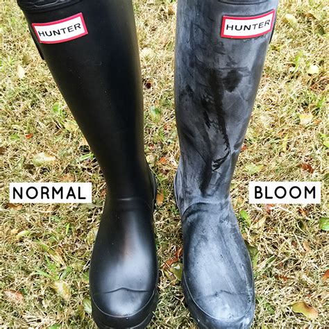 How To Clean Your Hunter Boots Remove White Bloom With Olive Oil • The