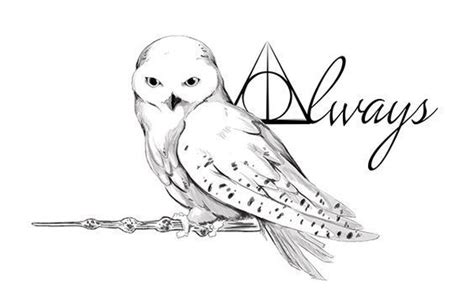 6 coloring pages with frames of harry potter, hermione granger, albus dumbledore, rubeus hagrid, ron weasley, & dobby. Hedwig Harry Potter Zeichnen