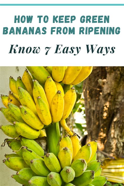 How To Keep Green Bananas From Ripening Know 7 Easy Ways Green