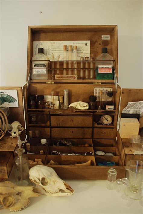 Those seeking mystical knowledge will find more spells, magical traditions, a guide to astral travel, and the dark art of sorcery. Cabinet of Curiosities (standard) 2 -- this is interesting ...