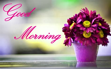 Good morning images wallpaper pictures pics hd free download with quotes for whatsaap with sunrise life quotes. Latest Good Morning Images Wallpaper Photo Pics HD ...