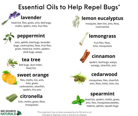 Download Free Chart Essential Oils To Help Repel Bugs