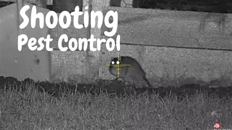 Shooting Pest Control Youtube
