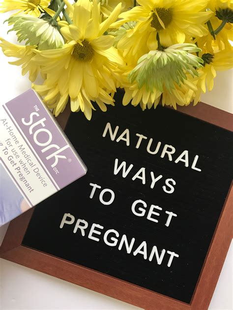 Natural Ways To Get Pregnant In Due Time