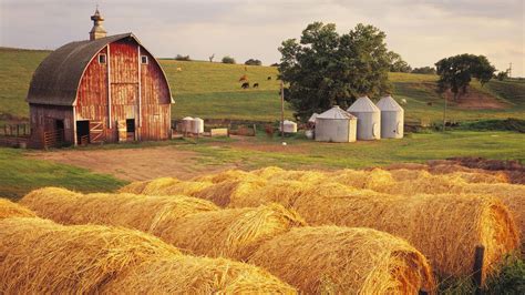 Iowa Hay Wallpaper 1526834 Wallbasecc Country Barns Country