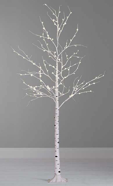 Christmas Bare Branch Twig Tree From John Lewis 2014 I Have Last