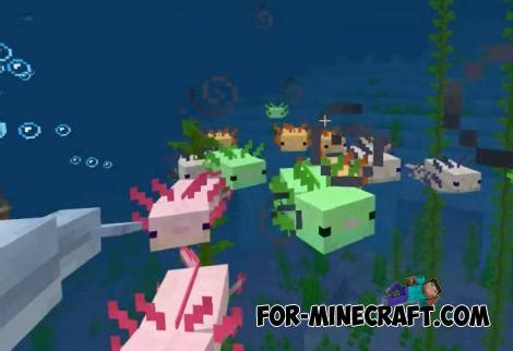 Maybe you would like to learn more about one of these? Axolotl Addon v1.2 for Minecraft PE 1.16