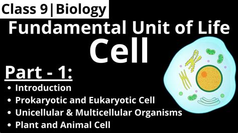 Class 9 Biology Chapter 5 Fundamental Unit Of Life