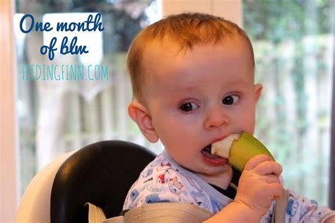 If you are using a baby led weaning approach, your baby may only manage to get a few pieces of food into his or her mouth. Baby-led weaning (blw) - food inspiration for the first month