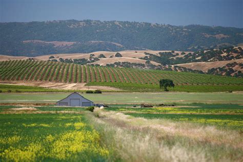 Livermore Valley Winegrowers Association: Media & Trade