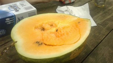 Yellow Meated Watermelon Localharvest