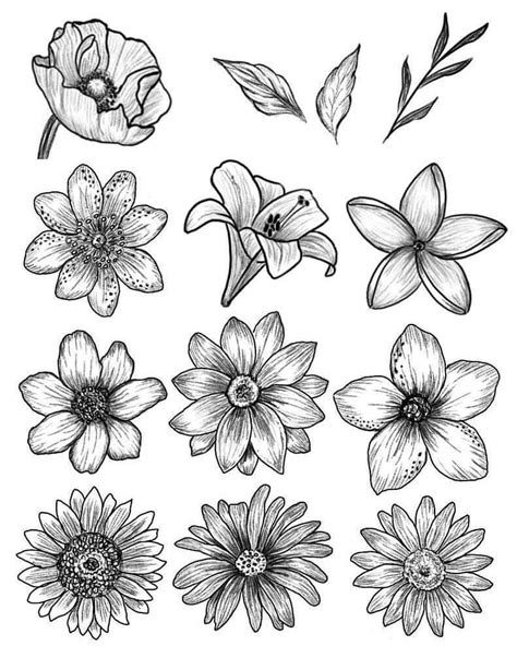 Pin On Drawing Plants