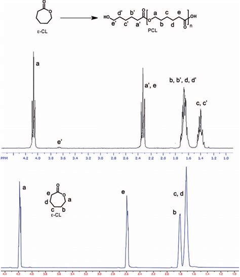 Typical 1 H NMR spectrum of ε CL and PCL Download Scientific Diagram