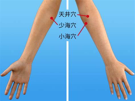 任選2件 88折 【bodyvine巴迪蔓】 超肌感貼紮護 肘 ★熱銷韓國銷售no.1 舒適 穩固 透氣 •網 球 肘 、 高爾夫球 肘 加壓. 淺談高爾夫球肘的成因與防治 | 醫．藥．人