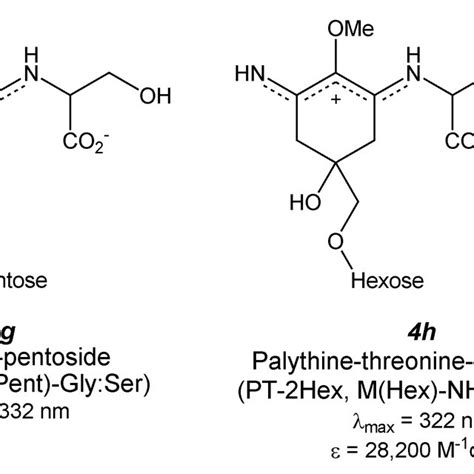 Pdf Mycosporine Like Amino Acids And Their Derivatives As Natural