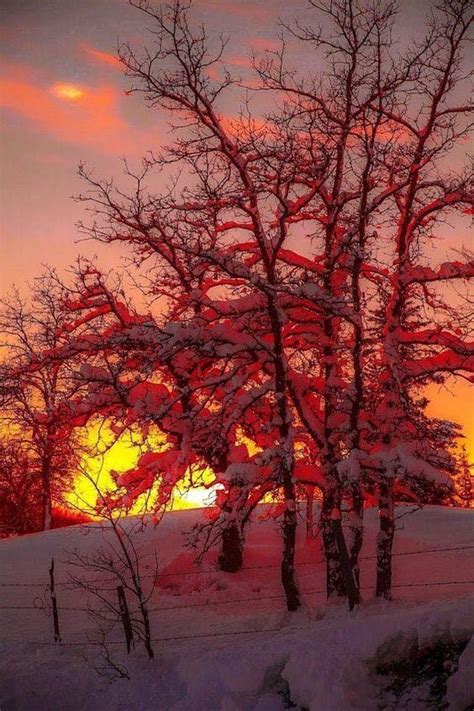 Natures Lovers On Twitter Winter Fire And Ice Sunset ️