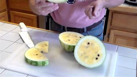 Watermelon Surprise Youtube