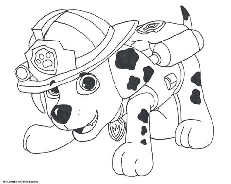 Paw patrol super pups coloring pages. Paw Patrol Coloring Pages Downoadable | K5 Worksheets