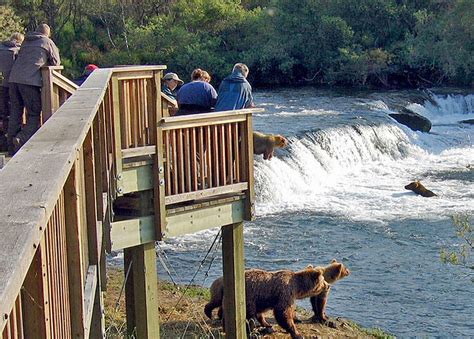 Brooks Falls; Katmai National Park; Alaska Bear Viewing Tour 2D