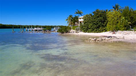 Nehmen sie sich zeit für ihr lieblingsbuch. Sombrero Beach in Marathon, Florida | Expedia