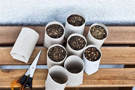 How To Make Homemade Seed Starting Containers Biodegradable Earth