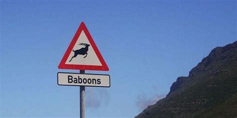 30 Hilariously Weird Road Signs Slide 1 Offbeat Road Signs
