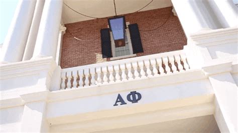 Alpha Phi News Gif Find Share On Giphy