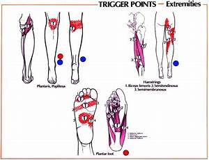 Trigger Points Legs And Feet Healthy Ideas Pinterest
