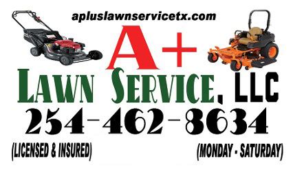 Hometeam pest defense offers a wide variety of information on all kinds of insects, rodents, and other bug species. Ant Control, Stump Grinding | Killeen, TX