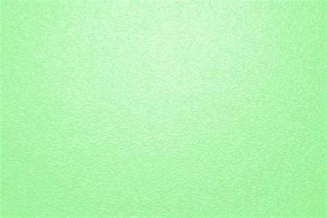 73 Light Green Background