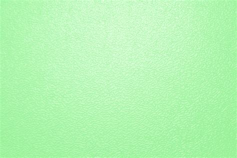 Solid color background with the name pale green and corresponding hex color code #98fb98. Light Green Background - WallpaperSafari