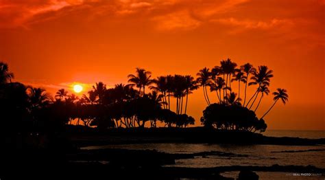6 Best Spots To Witness A Sunset On The Big Island Big Island Big