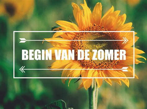 Begin Van De Zomer Rode Hoed