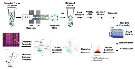 Ijms Free Full Text Current And Prospective Methods For Assessing